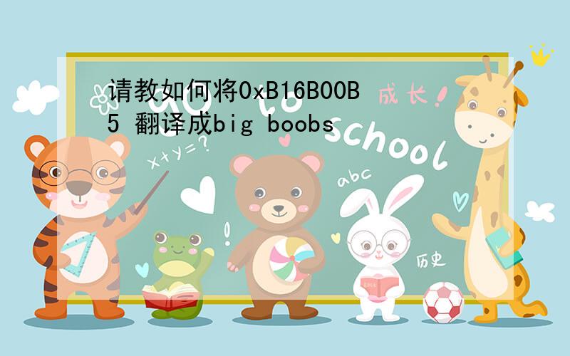 请教如何将0xB16B00B5 翻译成big boobs