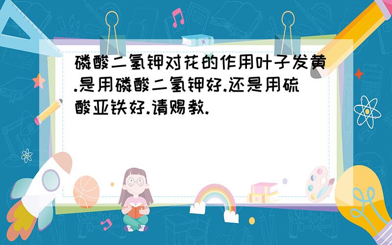 磷酸二氢钾对花的作用叶子发黄.是用磷酸二氢钾好.还是用硫酸亚铁好.请赐教.