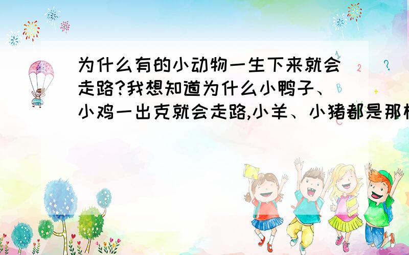 为什么有的小动物一生下来就会走路?我想知道为什么小鸭子、小鸡一出克就会走路,小羊、小猪都是那样的,为什么人一生下来缺不会走路呢?