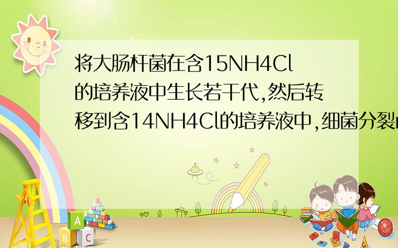 将大肠杆菌在含15NH4Cl的培养液中生长若干代,然后转移到含14NH4Cl的培养液中,细菌分裂n次后,含15N的DNA占全部DNA的比例是______,含14N的DNA占全部DNA的比例是_____ 答案给的是1/2^(n-1)和1-1/2^(n-1) 为什