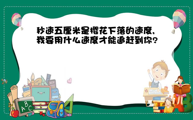 秒速五厘米是樱花下落的速度,我要用什么速度才能追赶到你?