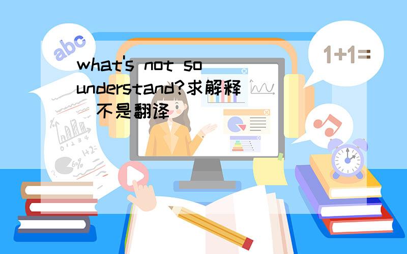 what's not so understand?求解释(不是翻译)