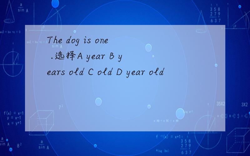 The dog is one .选择A year B years old C old D year old