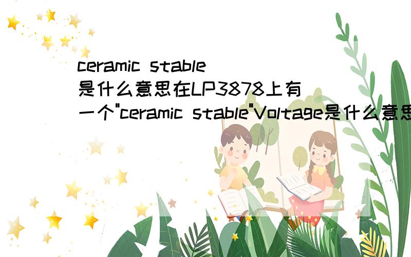 ceramic stable是什么意思在LP3878上有一个