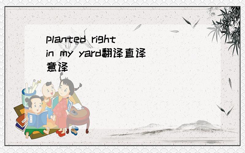 planted right in my yard翻译直译意译