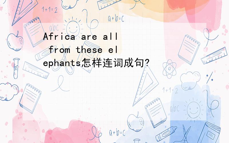 Africa are all from these elephants怎样连词成句?