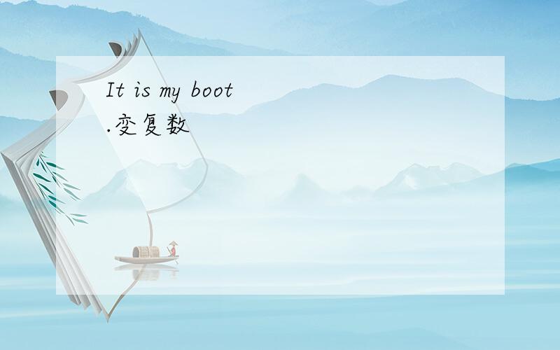 It is my boot .变复数