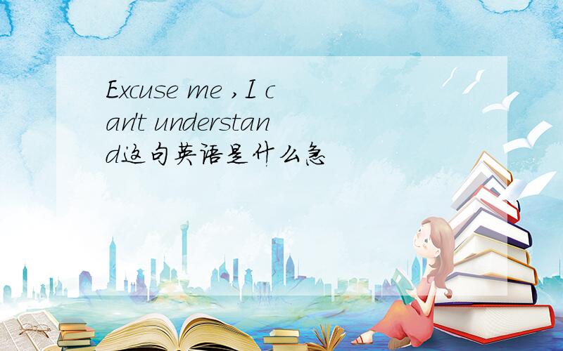 Excuse me ,I can't understand这句英语是什么急