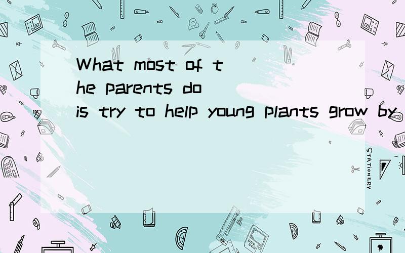 What most of the parents do is try to help young plants grow by pulling them upward.这个句子中的主语不是try to help young plants grow by pulling them upward吗,那么try不应该改成trying吗?但是这句话为什么是对的?不是要动