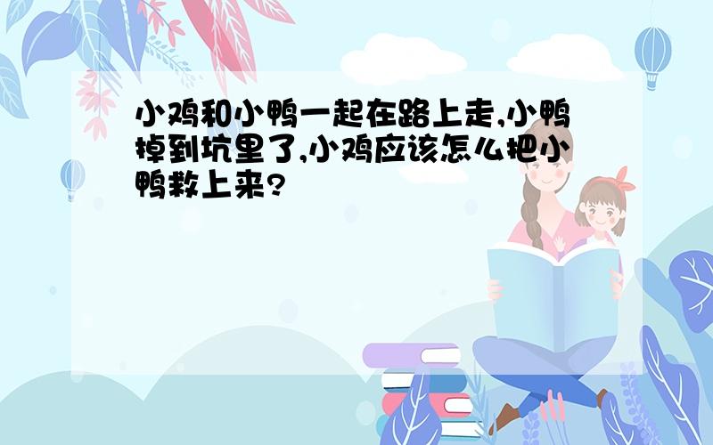 小鸡和小鸭一起在路上走,小鸭掉到坑里了,小鸡应该怎么把小鸭救上来?