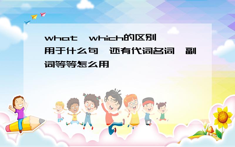 what,which的区别,用于什么句,还有代词名词,副词等等怎么用