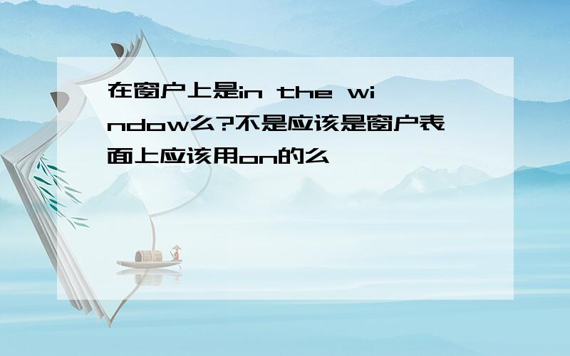 在窗户上是in the window么?不是应该是窗户表面上应该用on的么