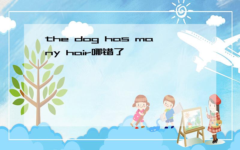 the dog has many hair哪错了