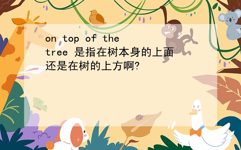 on top of the tree 是指在树本身的上面还是在树的上方啊?