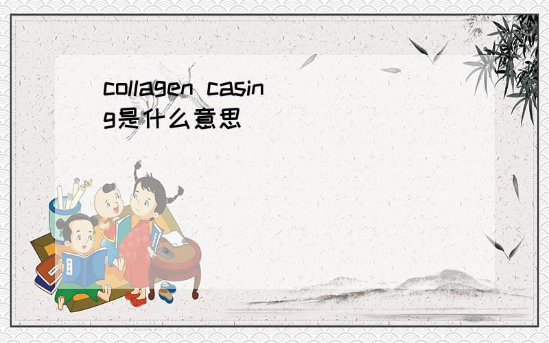 collagen casing是什么意思