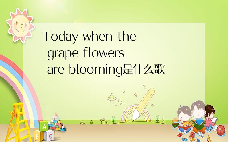 Today when the grape flowers are blooming是什么歌