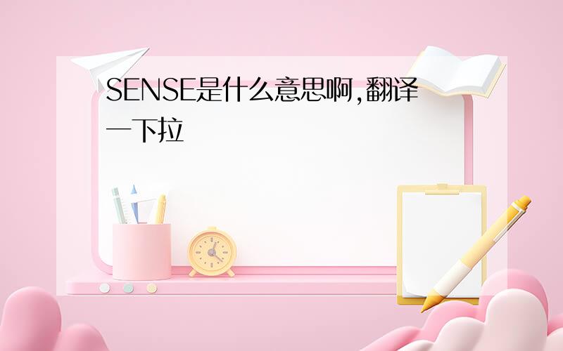 SENSE是什么意思啊,翻译一下拉