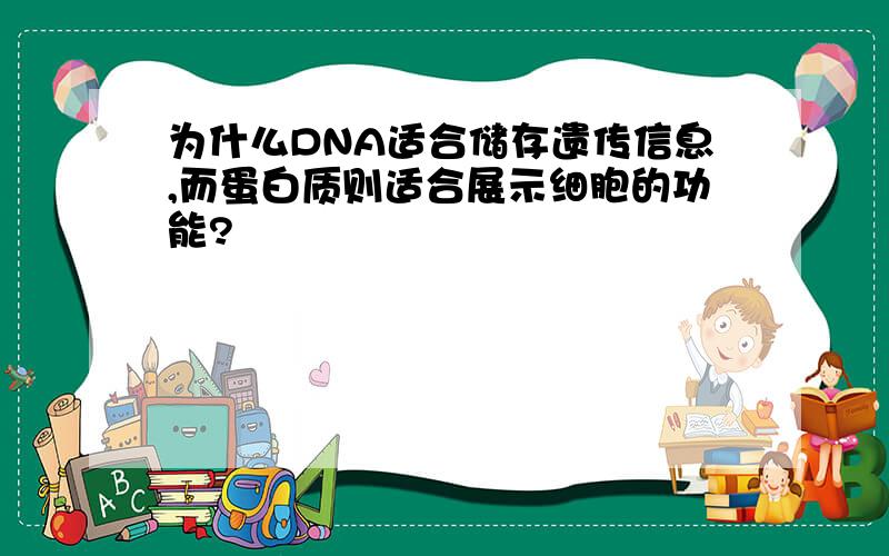 为什么DNA适合储存遗传信息,而蛋白质则适合展示细胞的功能?