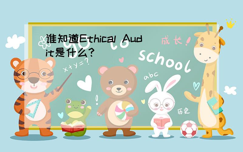 谁知道Ethical Audit是什么?