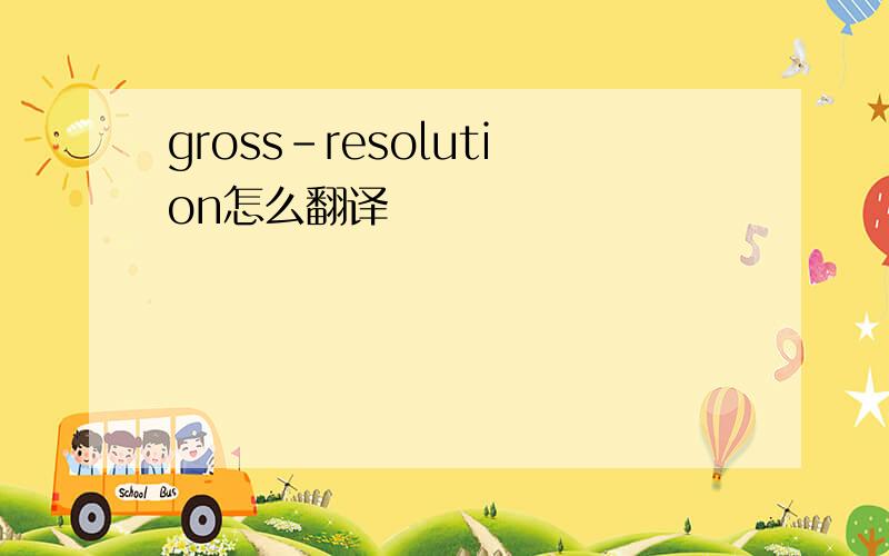 gross-resolution怎么翻译