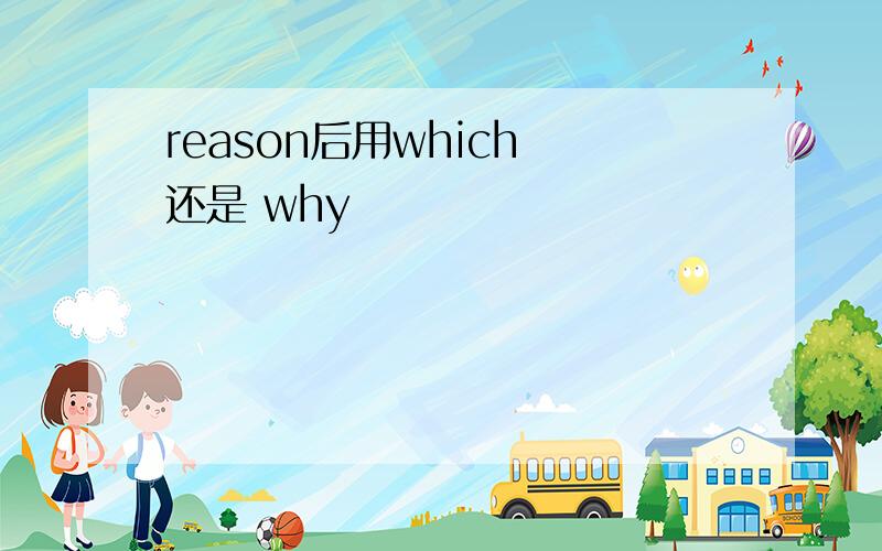 reason后用which 还是 why