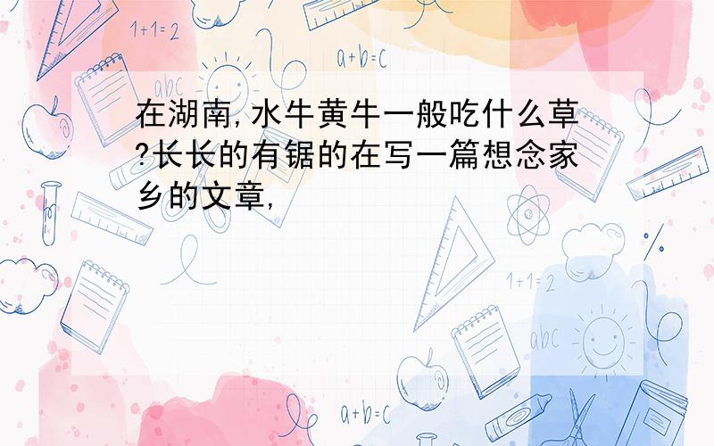 在湖南,水牛黄牛一般吃什么草?长长的有锯的在写一篇想念家乡的文章,