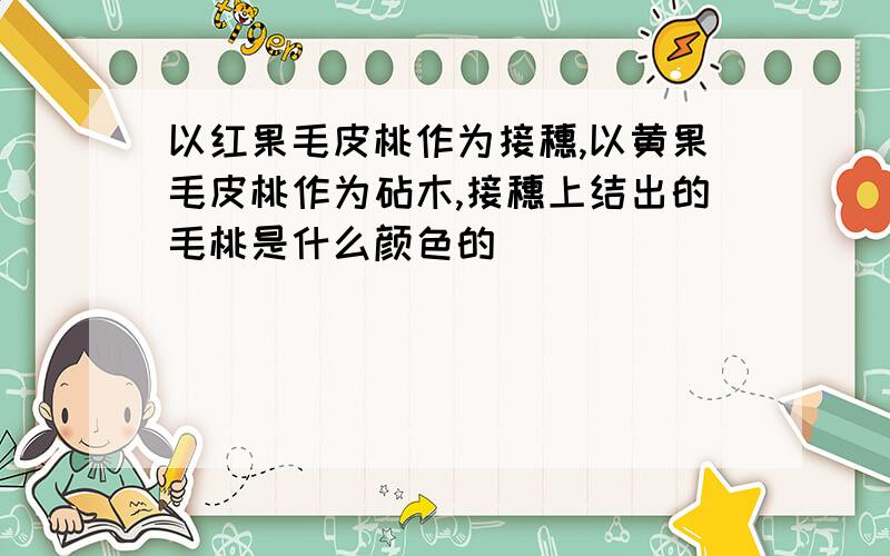 以红果毛皮桃作为接穗,以黄果毛皮桃作为砧木,接穗上结出的毛桃是什么颜色的