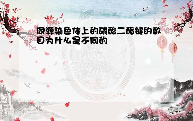 同源染色体上的磷酸二酯键的数目为什么是不同的