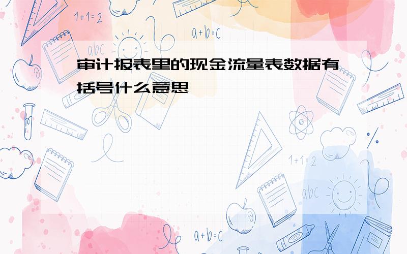 审计报表里的现金流量表数据有括号什么意思