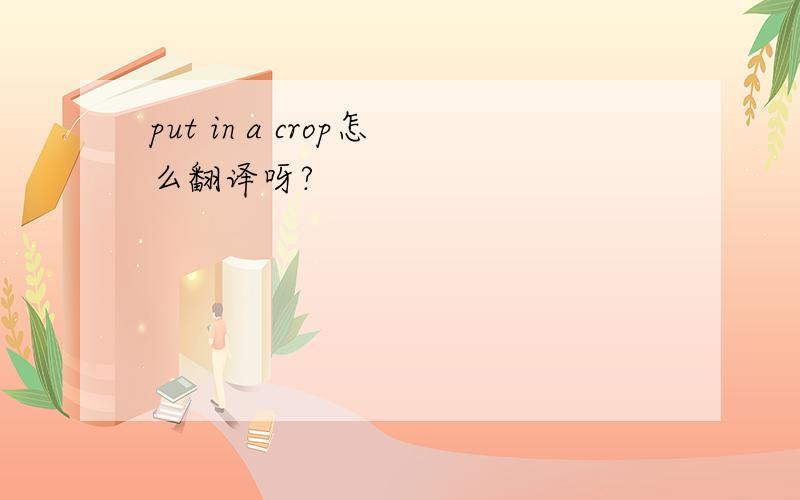 put in a crop怎么翻译呀?