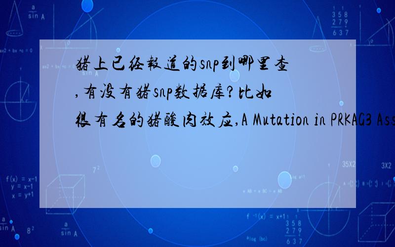 猪上已经报道的snp到哪里查,有没有猪snp数据库?比如很有名的猪酸肉效应,A Mutation in PRKAG3 Associated with Excess Glycogen Content in Pig Skeletal Muscle这篇文章里报道了是一个碱基突变造成的,但是我找不