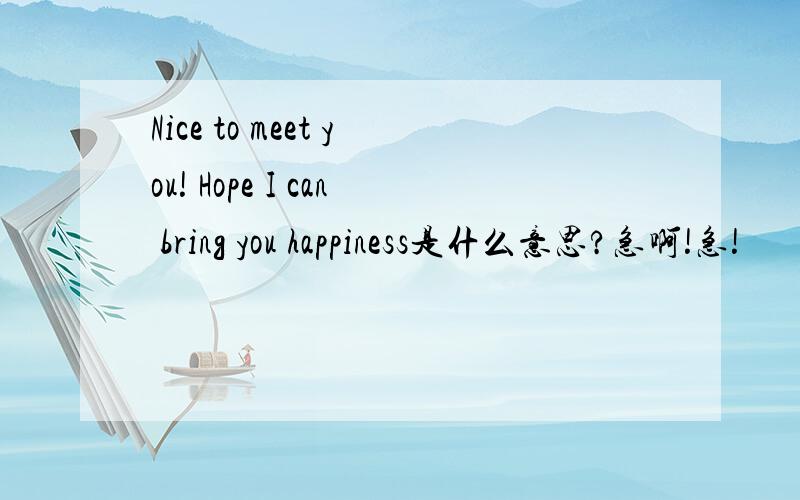 Nice to meet you! Hope I can bring you happiness是什么意思?急啊!急!