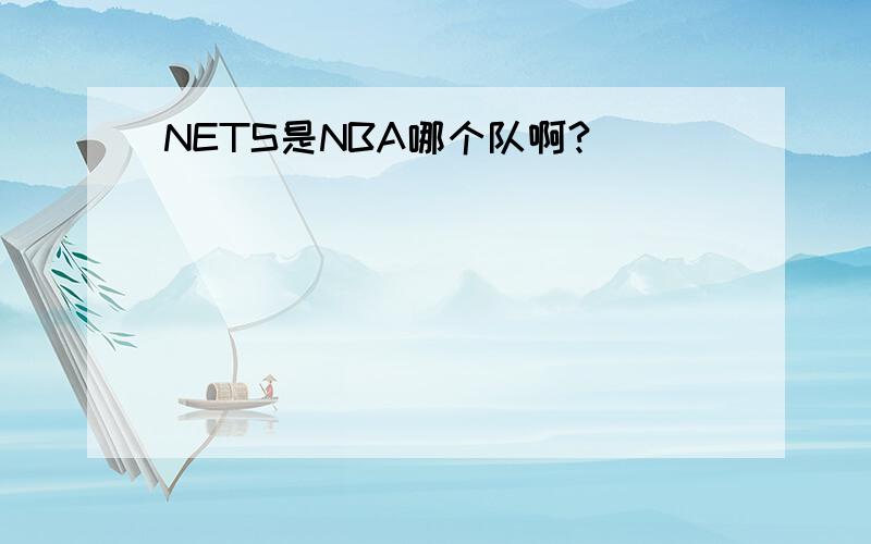 NETS是NBA哪个队啊?