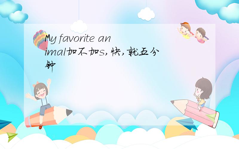 My favorite animal加不加s,快,就五分钟