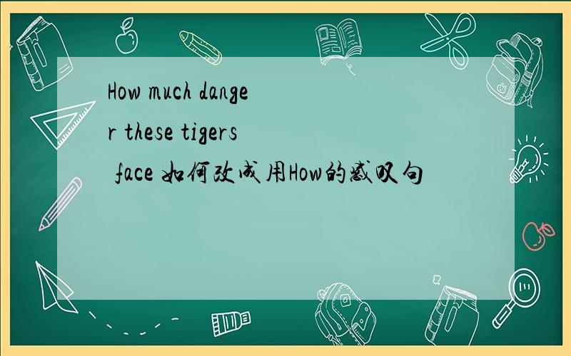 How much danger these tigers face 如何改成用How的感叹句