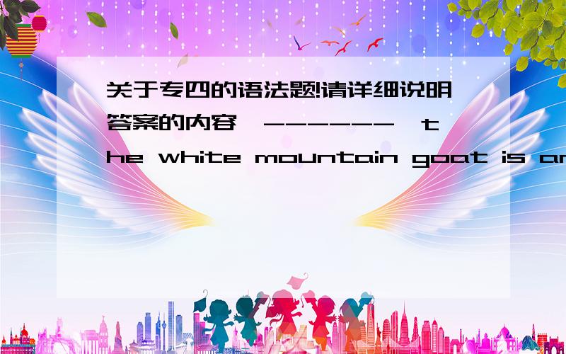 关于专四的语法题!请详细说明答案的内容,------,the white mountain goat is an extremely sure-footed animal that escapes from its predators by living in the most rugged,rocky landscapes.A.Having been rarely seenB.Rarely to be seenC.Rare