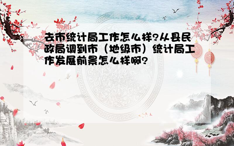 去市统计局工作怎么样?从县民政局调到市（地级市）统计局工作发展前景怎么样啊?