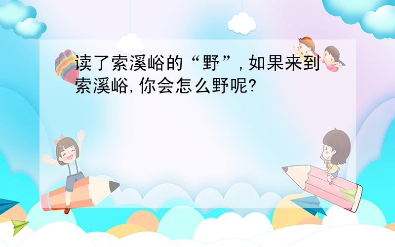 读了索溪峪的“野”,如果来到索溪峪,你会怎么野呢?