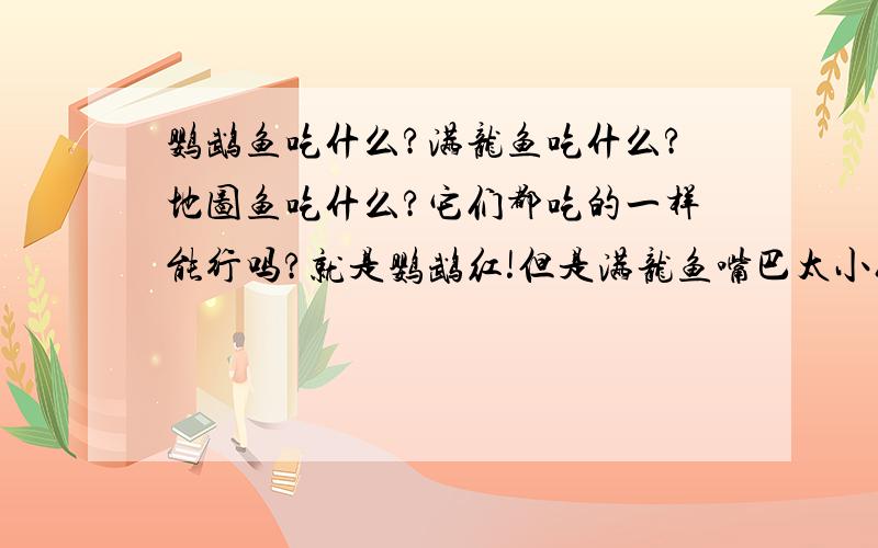 鹦鹉鱼吃什么?满龙鱼吃什么?地图鱼吃什么?它们都吃的一样能行吗?就是鹦鹉红!但是满龙鱼嘴巴太小们么能吃小虾小鱼呢?