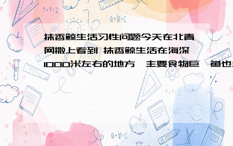 抹香鲸生活习性问题今天在北青网撒上看到 抹香鲸生活在海深1000米左右的地方,主要食物巨鱿鱼也生活在海洋1000米左右深处.可是,据我所知,抹香鲸是鲸鱼,属于哺乳动物,得靠肺呼吸空气.如果