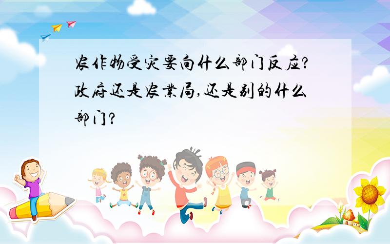 农作物受灾要向什么部门反应?政府还是农业局,还是别的什么部门?