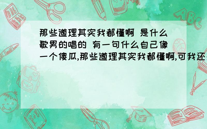 那些道理其实我都懂啊 是什么歌男的唱的 有一句什么自己像一个傻瓜,那些道理其实我都懂啊,可我还是很想她,是什么歌啊