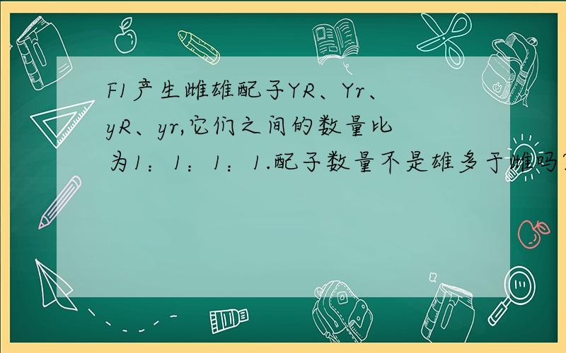 F1产生雌雄配子YR、Yr、yR、yr,它们之间的数量比为1：1：1：1.配子数量不是雄多于雌吗?