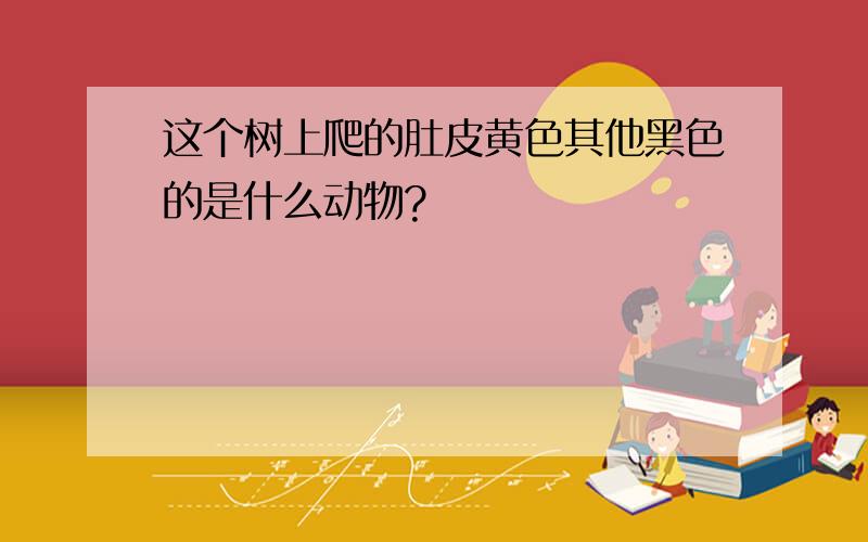 这个树上爬的肚皮黄色其他黑色的是什么动物?