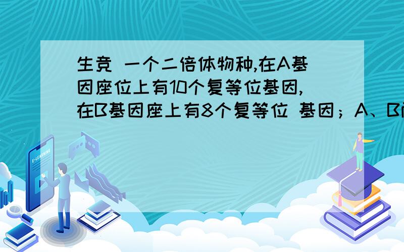 生竞 一个二倍体物种,在A基因座位上有10个复等位基因,在B基因座上有8个复等位 基因；A、B两个基因不连锁请问可能存在的基因型有几种：请问可能存在的基因型有几种：能不能别用数列算?