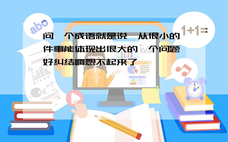 问一个成语就是说,从很小的一件事能体现出很大的一个问题,好纠结啊想不起来了