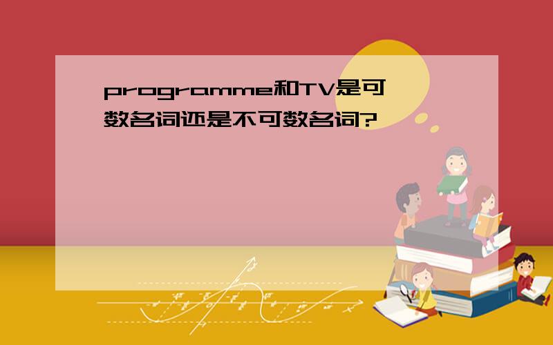 programme和TV是可数名词还是不可数名词?