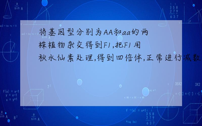 将基因型分别为AA和aa的两株植物杂交得到F1,把F1用秋水仙素处理,得到四倍体,正常进行减数分时,由这个四倍体形成的配子基因型极其比例