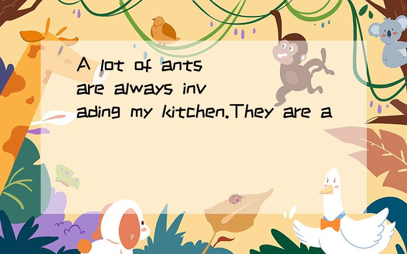 A lot of ants are always invading my kitchen.They are a _________ trouble.A、wholeB、totalC、thoroughD、full