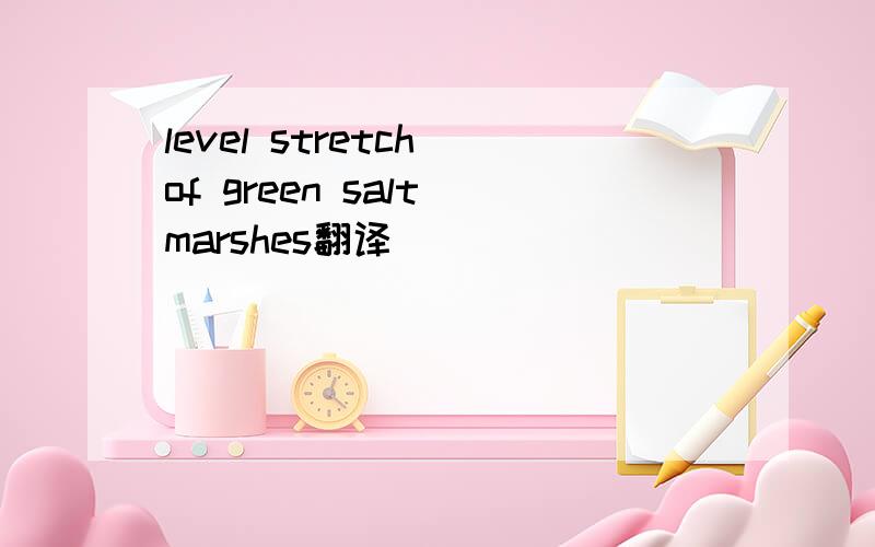 level stretch of green salt marshes翻译